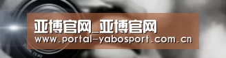公司动态