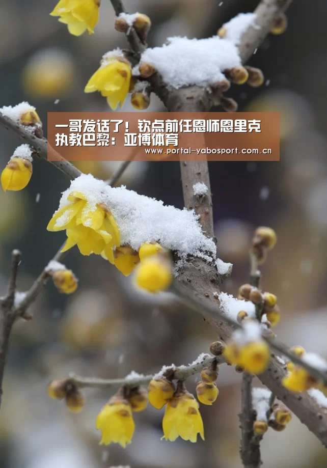 一哥发话了!钦点前任恩师恩里克执教巴黎:亚博体育(图2) 亚博棋牌