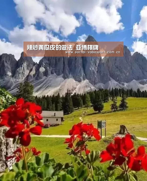 辣炒黄瓜皮的做法_亚博棋牌(图2) 亚博体育