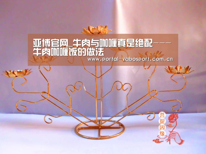 亚博官网_牛肉与咖喱真是绝配---牛肉咖喱饭的做法(图1) 亚博官网