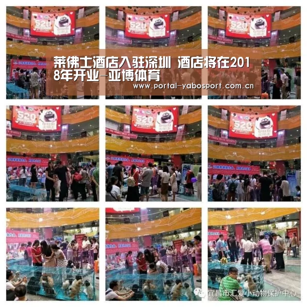 莱佛士酒店入驻深圳 酒店将在2018年开业-亚博体育(图3) 亚博棋牌